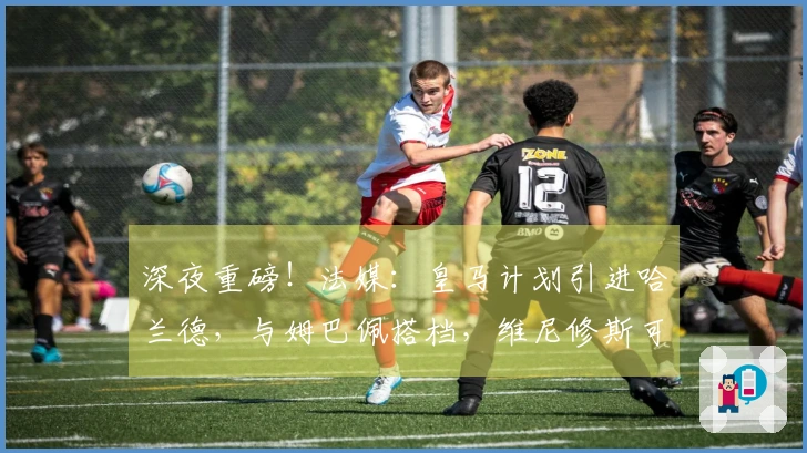 深夜重磅！法媒：皇马计划引进哈兰德，与姆巴佩搭档，维尼修斯可能转会